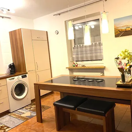 公寓 Wagner In Fuggerstrasse 多瑙河畔迪林根