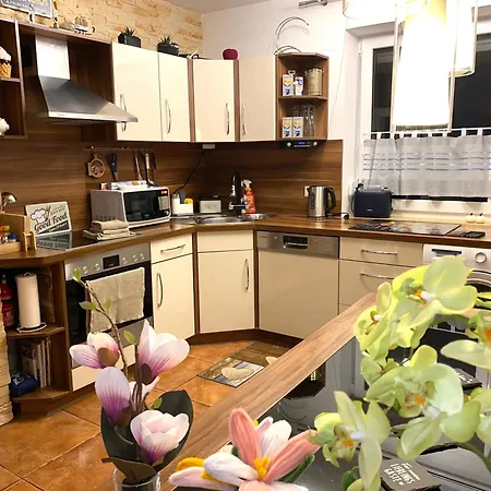 Wagner In Fuggerstrasse Apartment Dillingen an der Donau